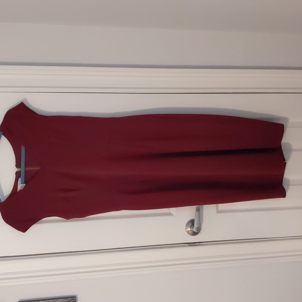 Maggy London Burgundy Dress- 12